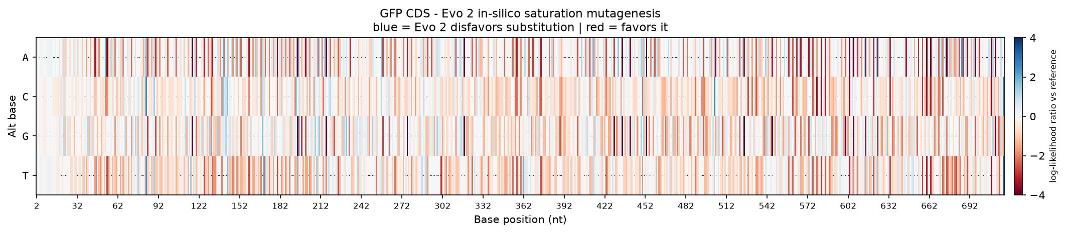 Evo 2 in-silico saturation mutagenesis of the GFP coding sequence